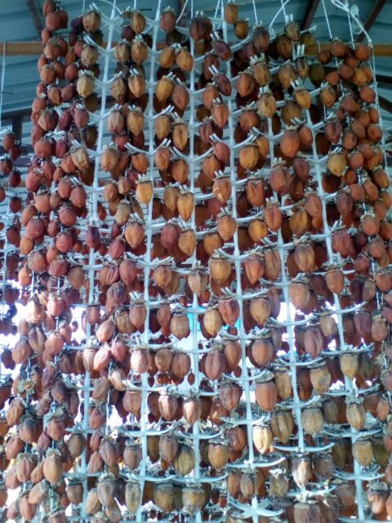 柿饼1~2两