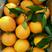甜橙爆汁《夏橙，伦晚，中华红橙》65-90果，四季鲜果