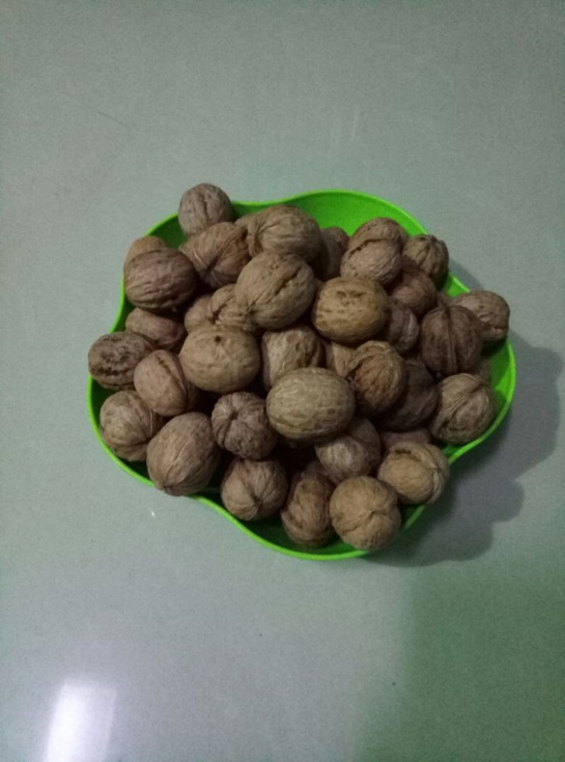 薄皮核桃30mm以上去皮干