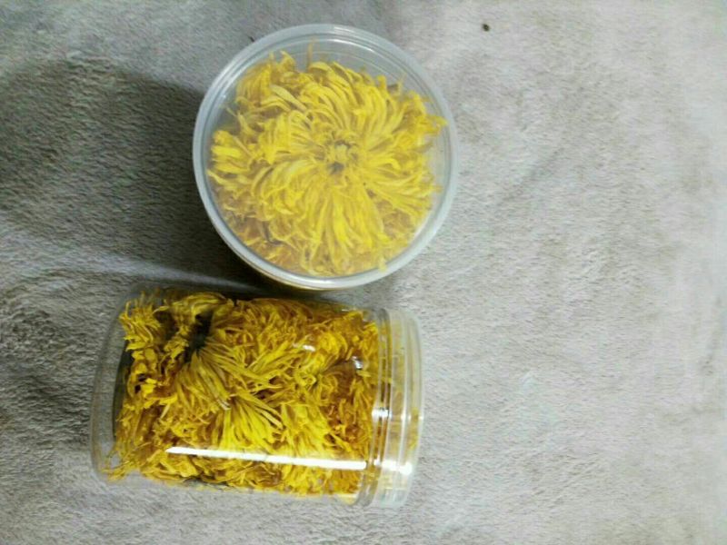 干菊花