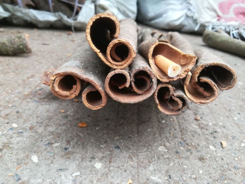 广西桂皮精选中通一级足干