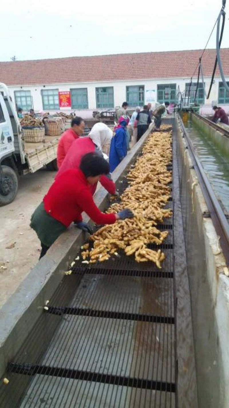 面姜以质论价，诚信经营，