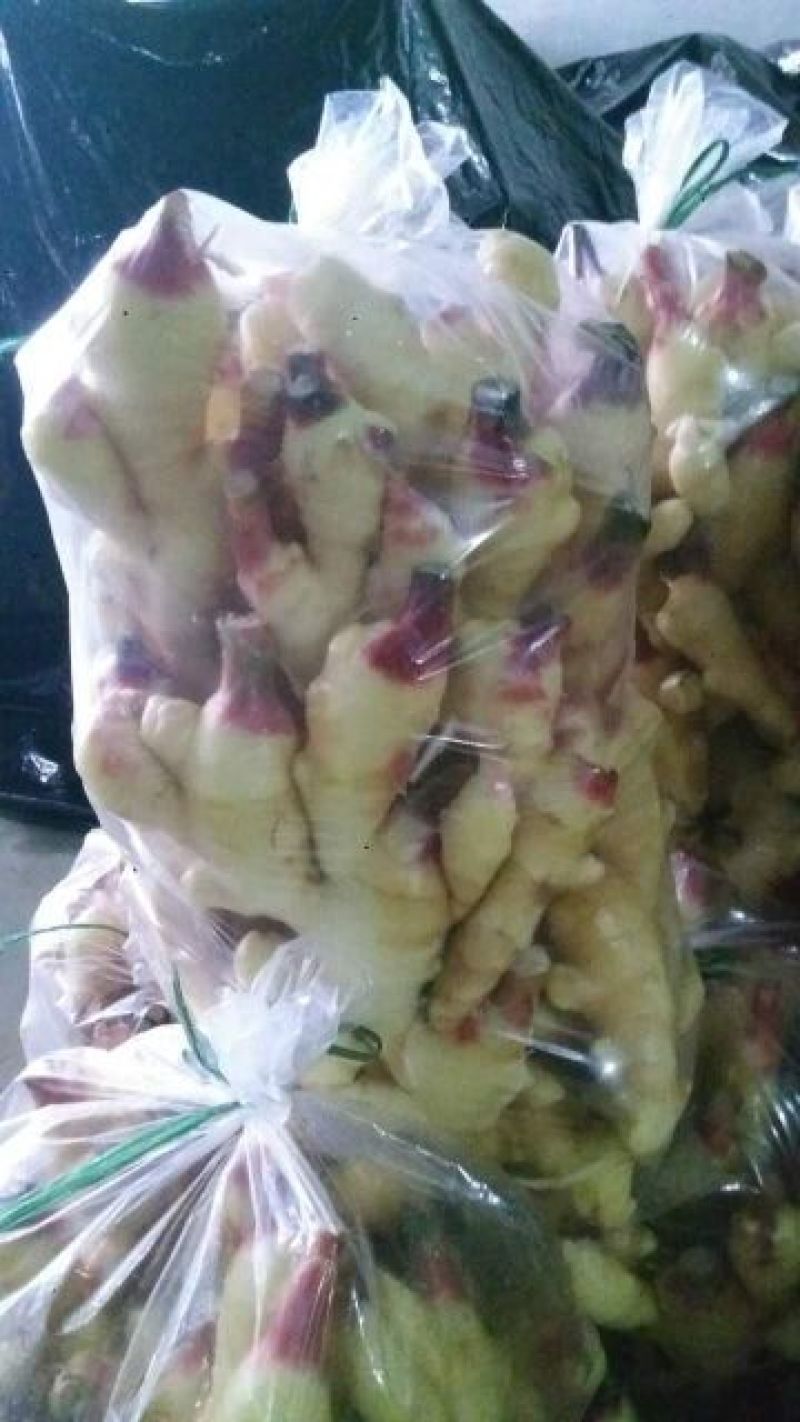 面姜以质论价，诚信经营，
