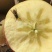 山西水晶富士苹果纸+膜袋规格齐全量大价优欢迎咨询合作