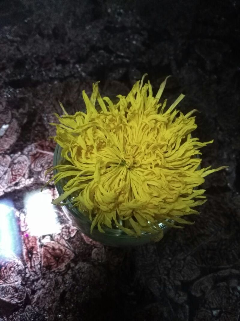 菊花茶特级