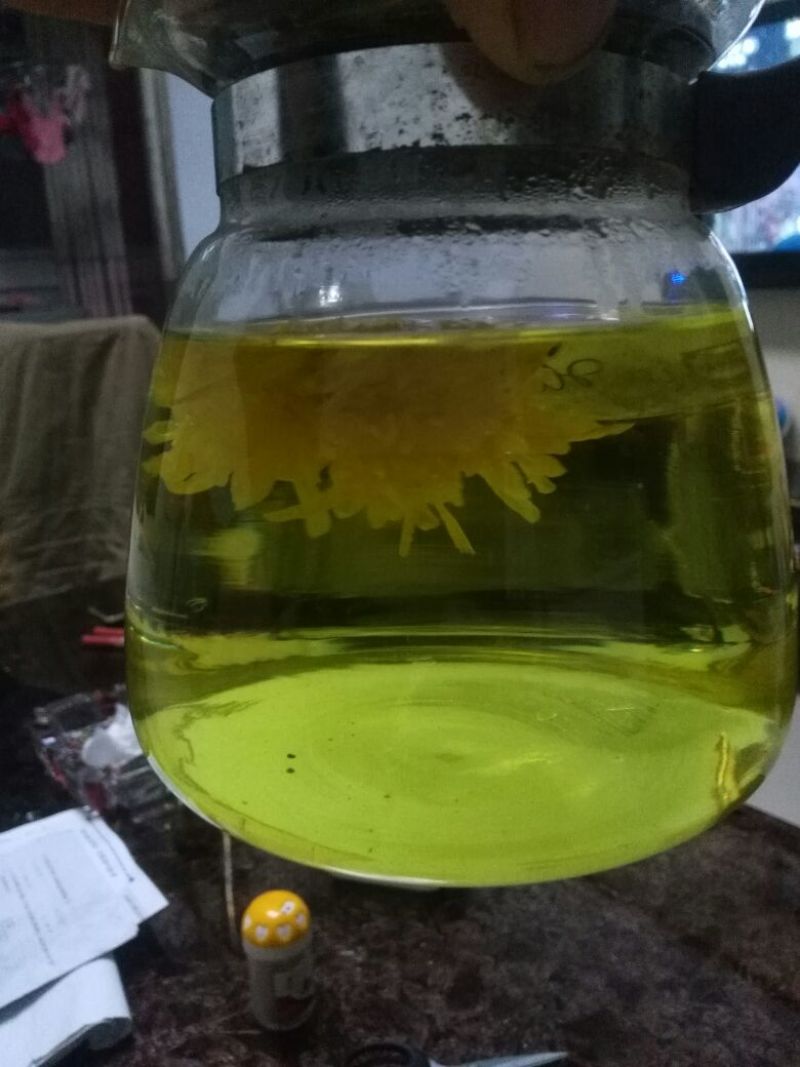 菊花茶特级