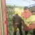 大白菜，青杂三号。北京三号净菜无虫眼无坏根。