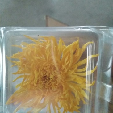 药用菊花散装