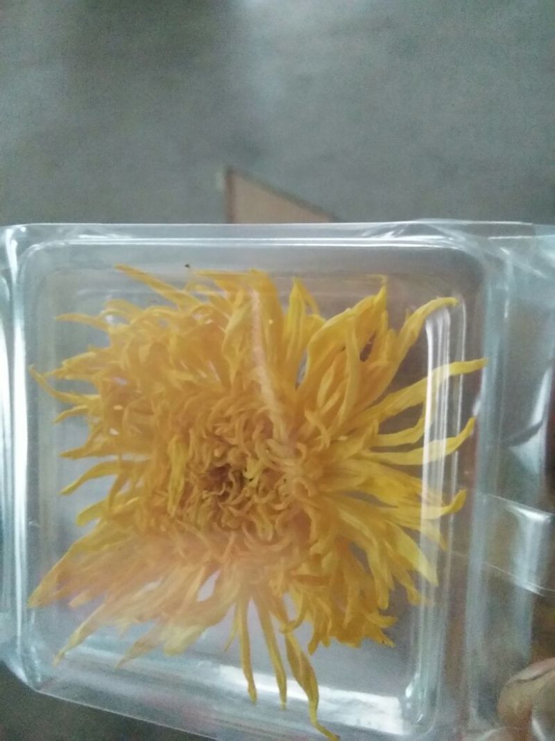 药用菊花散装