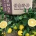 赣南脐橙75~80mm