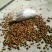 山茶果野生山油茶油