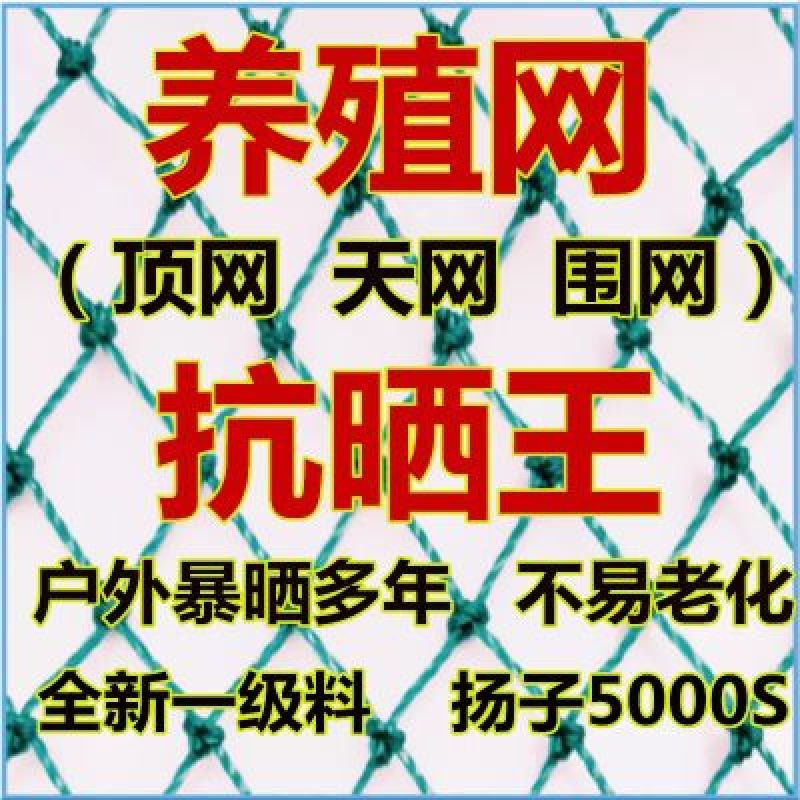 养殖网全新养鸡网家禽养殖网天网拦鸡鸭网山鸡网防护网菜园围