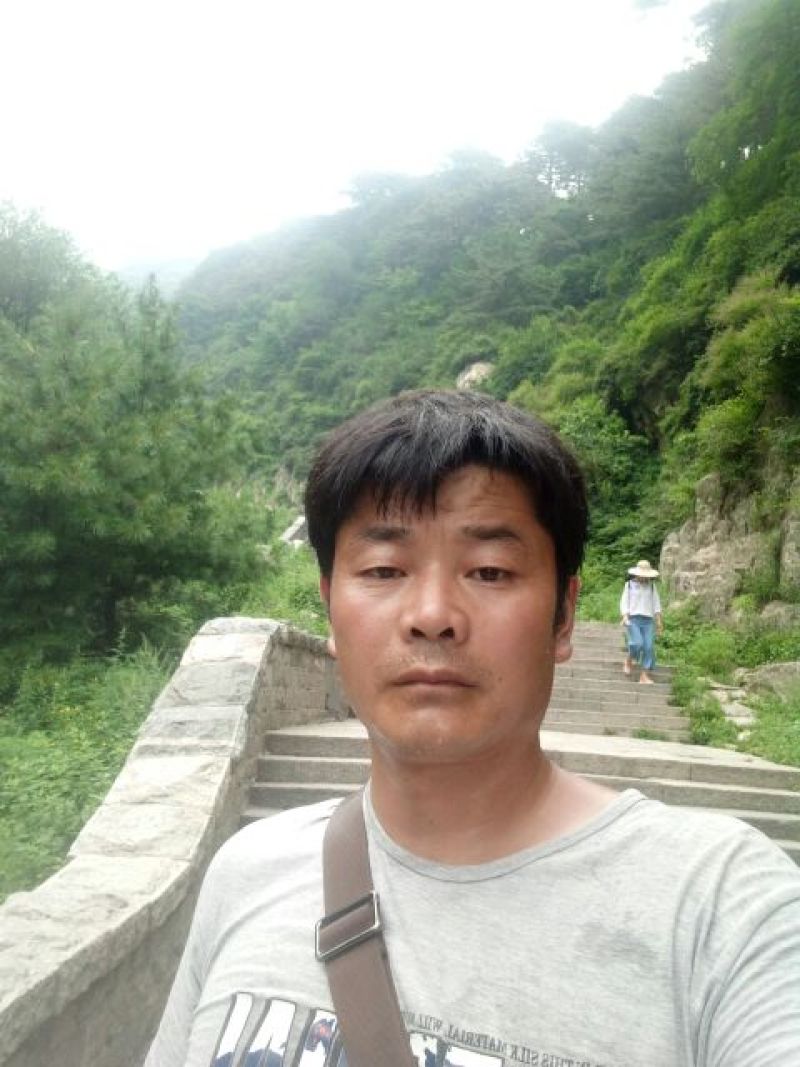 九斤黄山药6~8厘米特级手捡90厘米以上