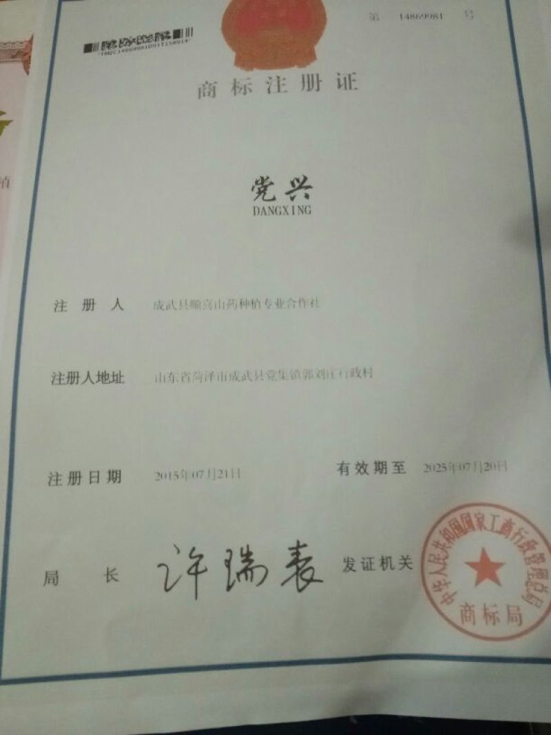 山药苗