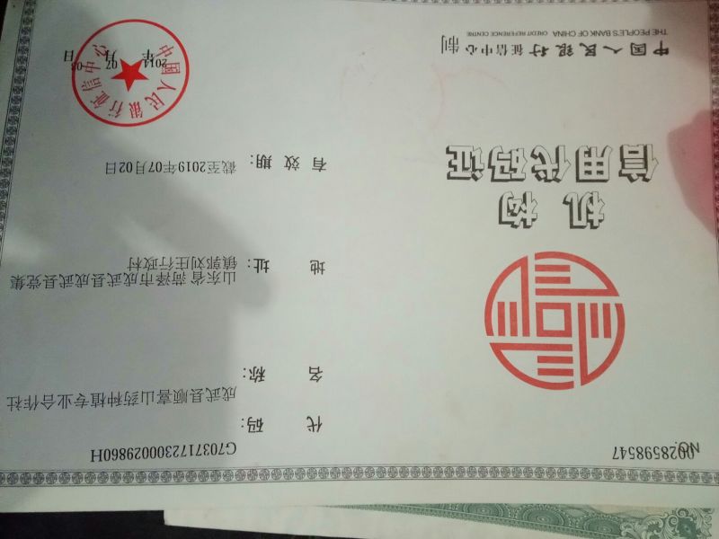 山药苗