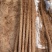 九斤黄山药4～～8厘米特级手捡40--90厘米
