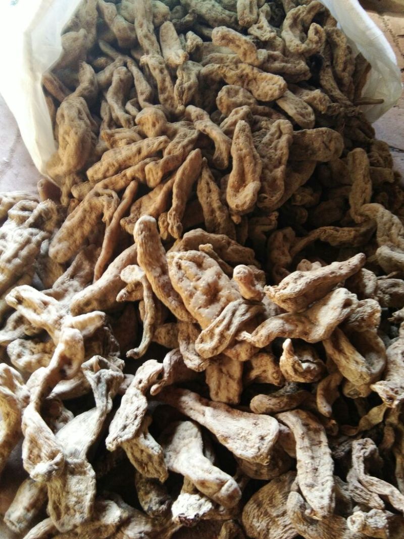 天麻一级