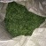 金花菜，草头，颜色漂亮，叶片大，欢迎各位老板联系我