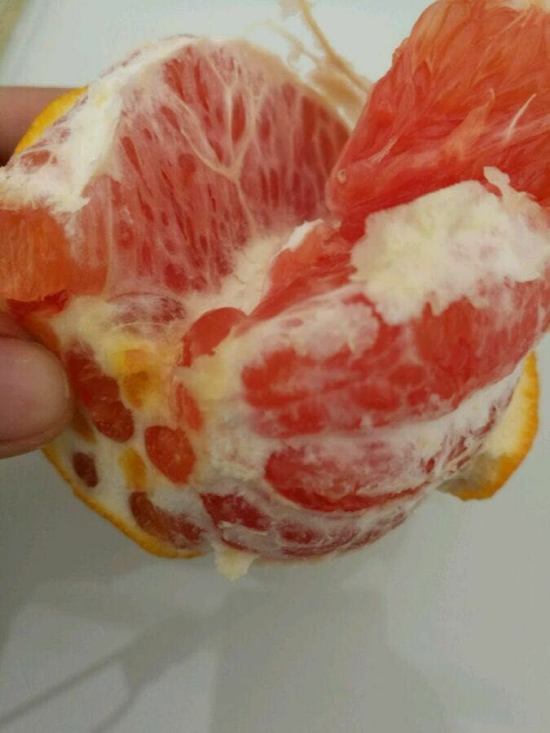 脐橙树苗卡拉卡拉红肉血橙树苗