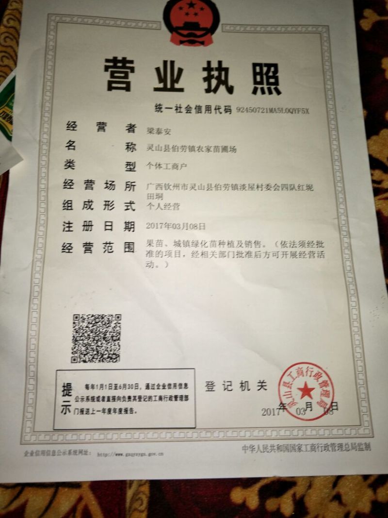 哥伦比亚黄金百香果种苗30~50cm