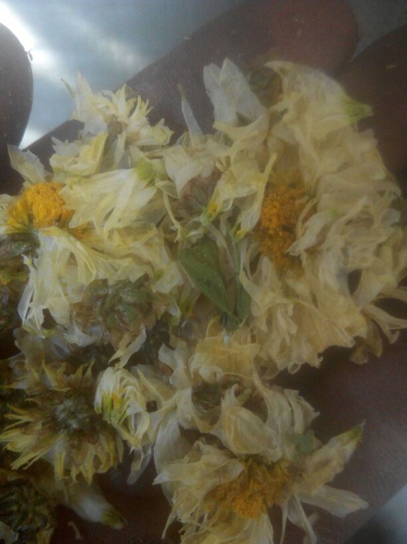 菊花茶特级