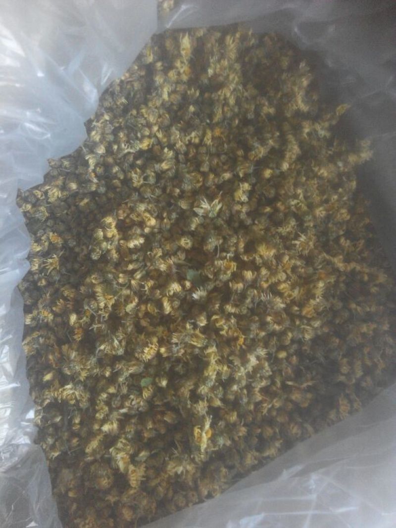菊花茶特级