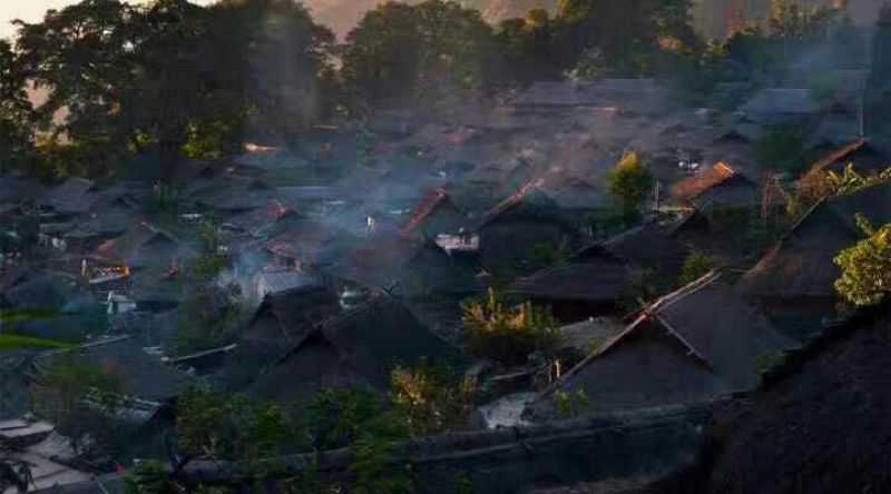 古树茶一级