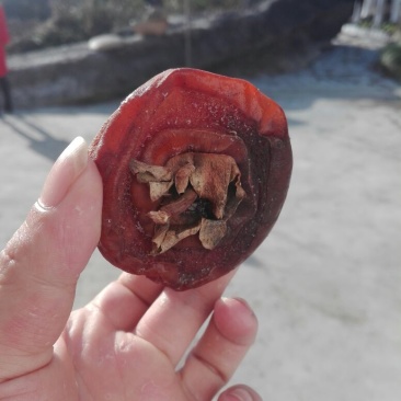 柿饼1~2两