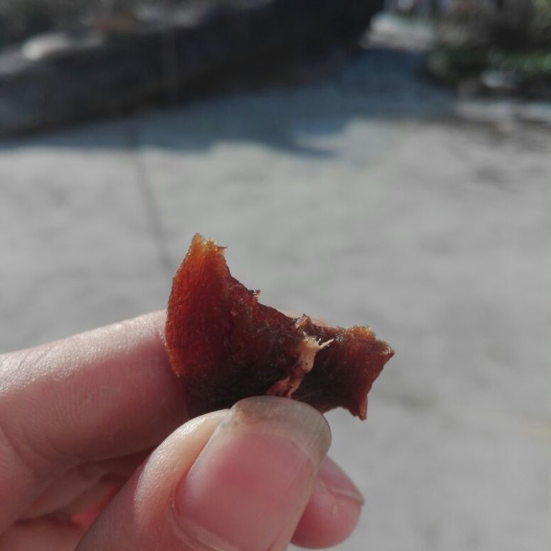 柿饼1~2两