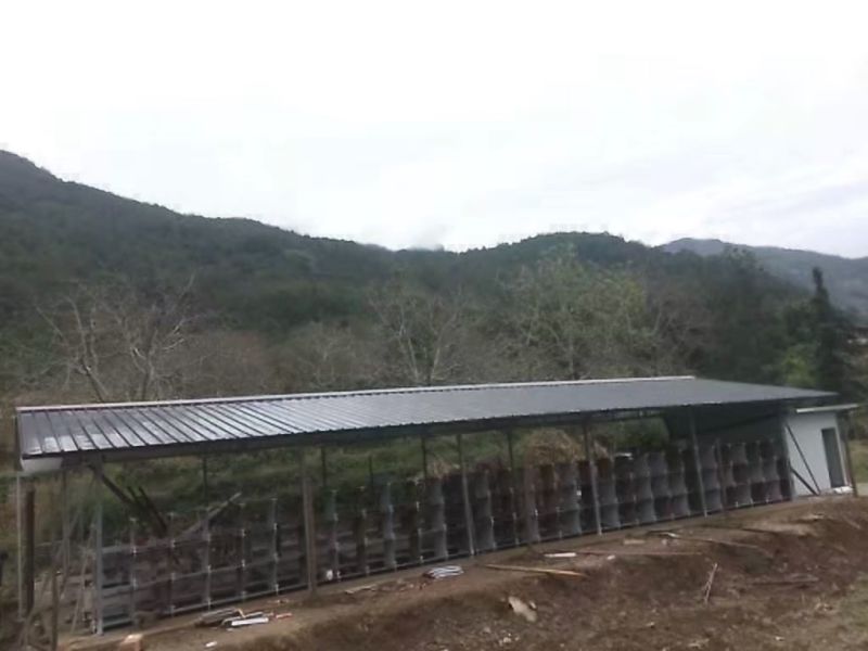 种兔1~2kg