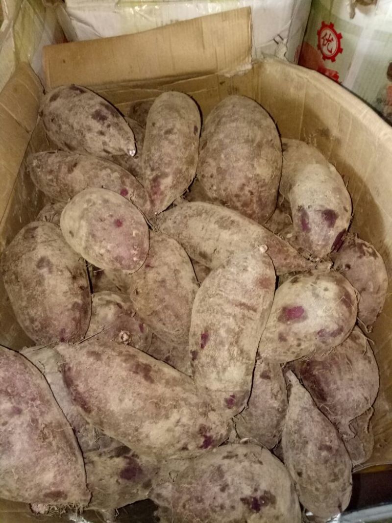 紫薯量大优惠