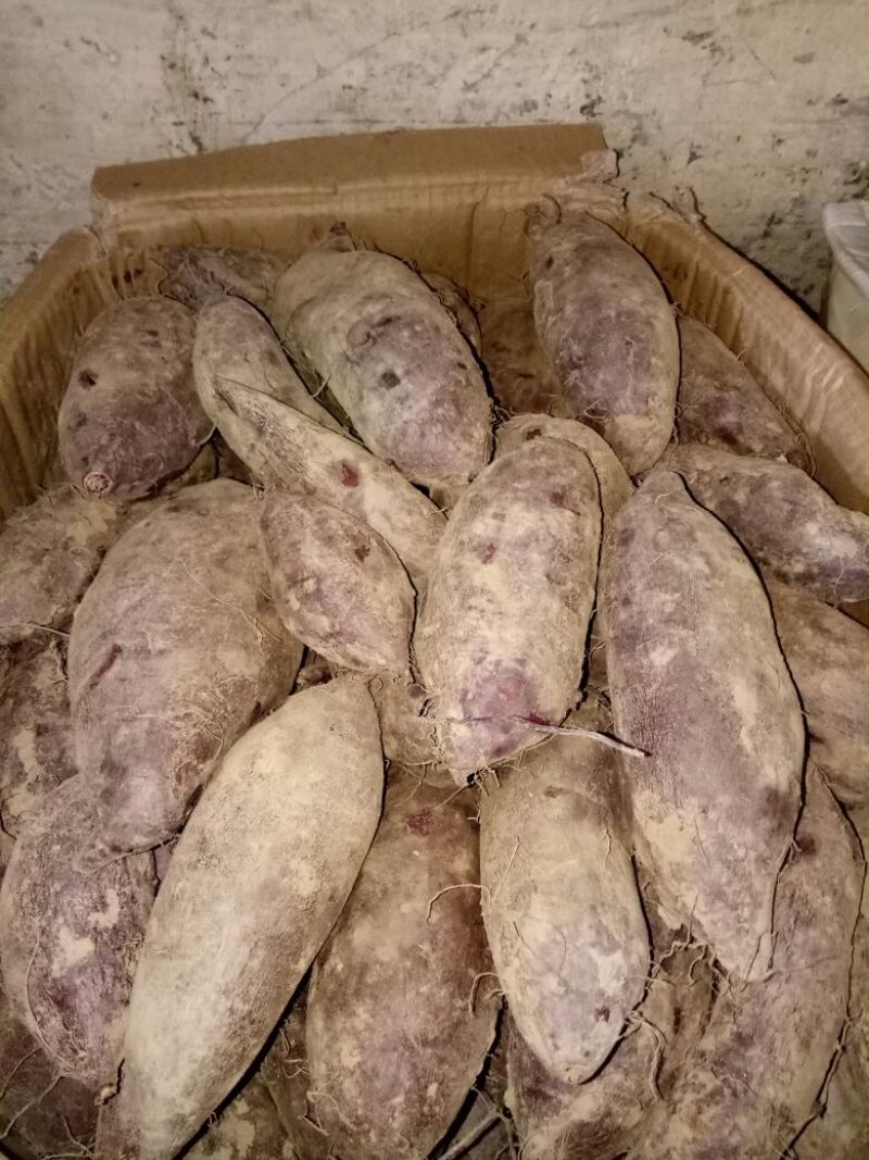 紫薯量大优惠