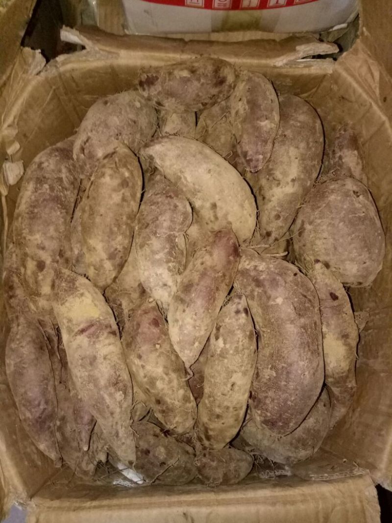 紫薯量大优惠