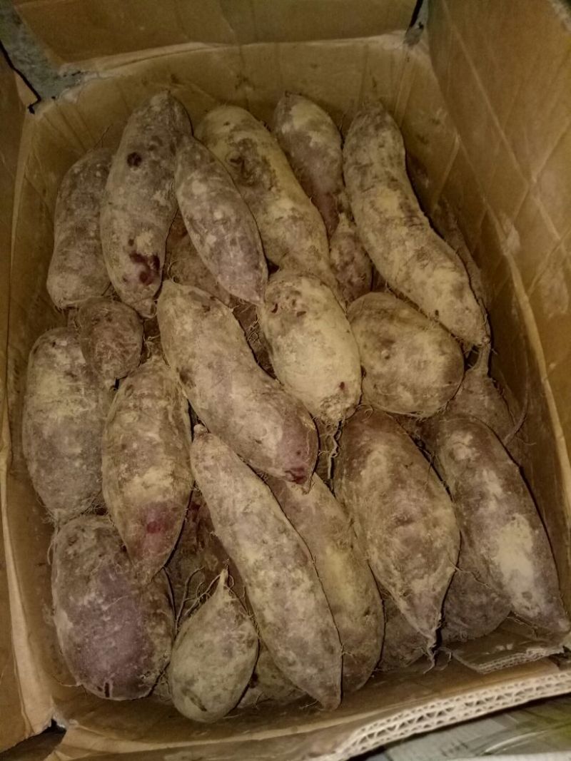 紫薯量大优惠