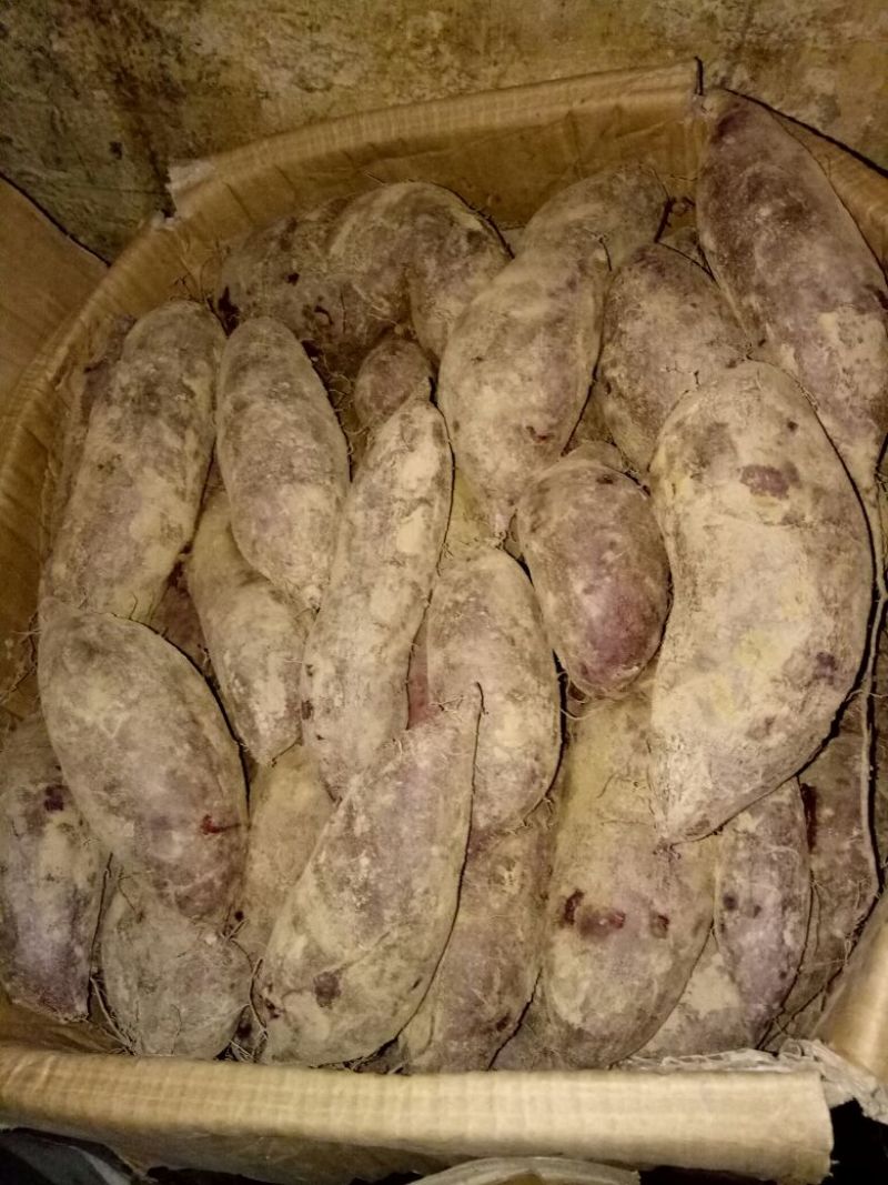紫薯量大优惠