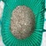 冰鲜河虾8~12只/kg