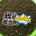 醉蝶花种子净种子花海造型必备发芽率95%