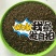 醉蝶花种子净种子花海造型必备发芽率95%