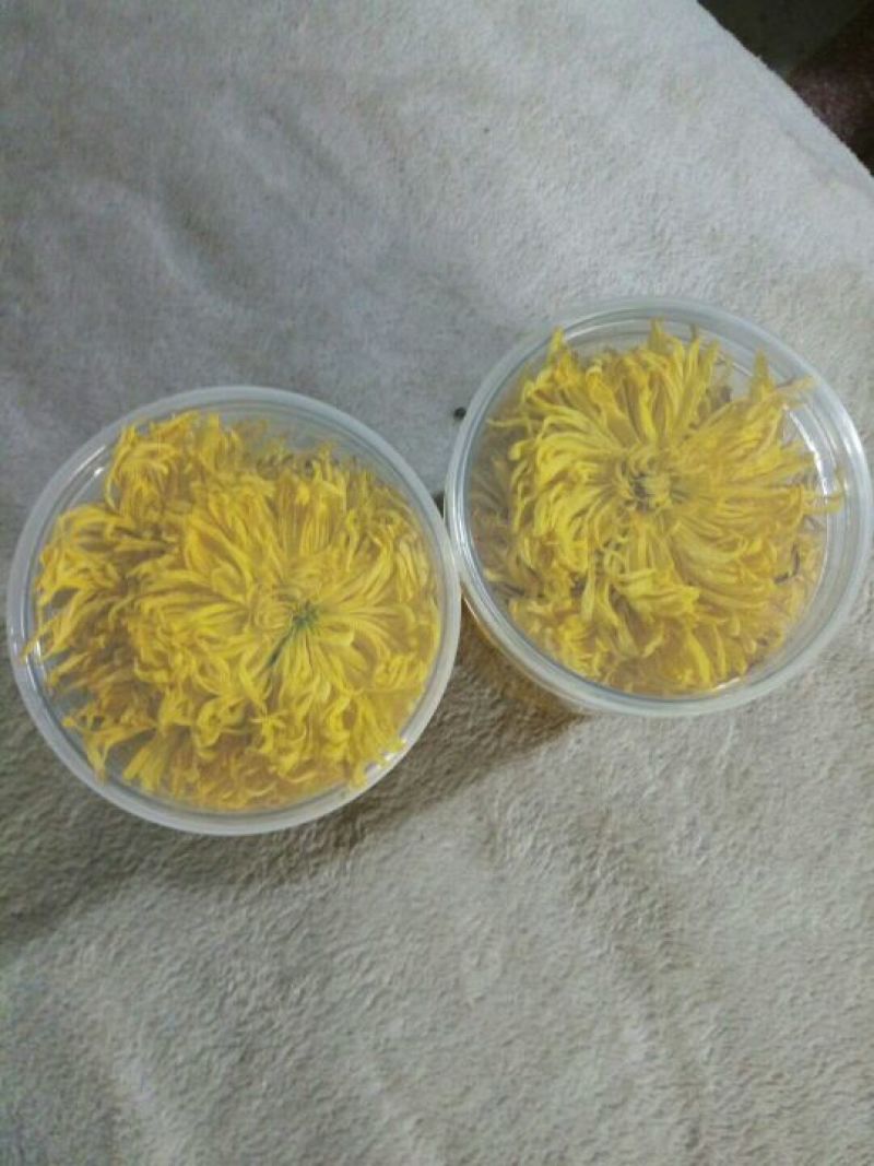 干菊花金丝皇菊