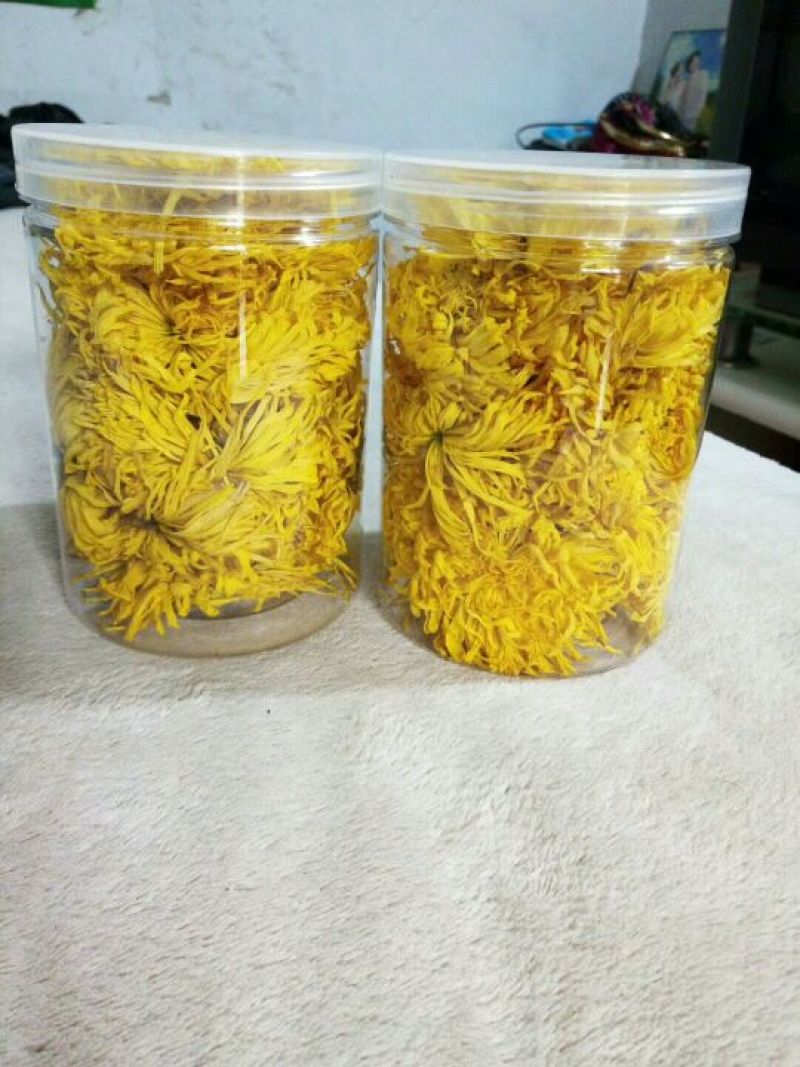 干菊花金丝皇菊