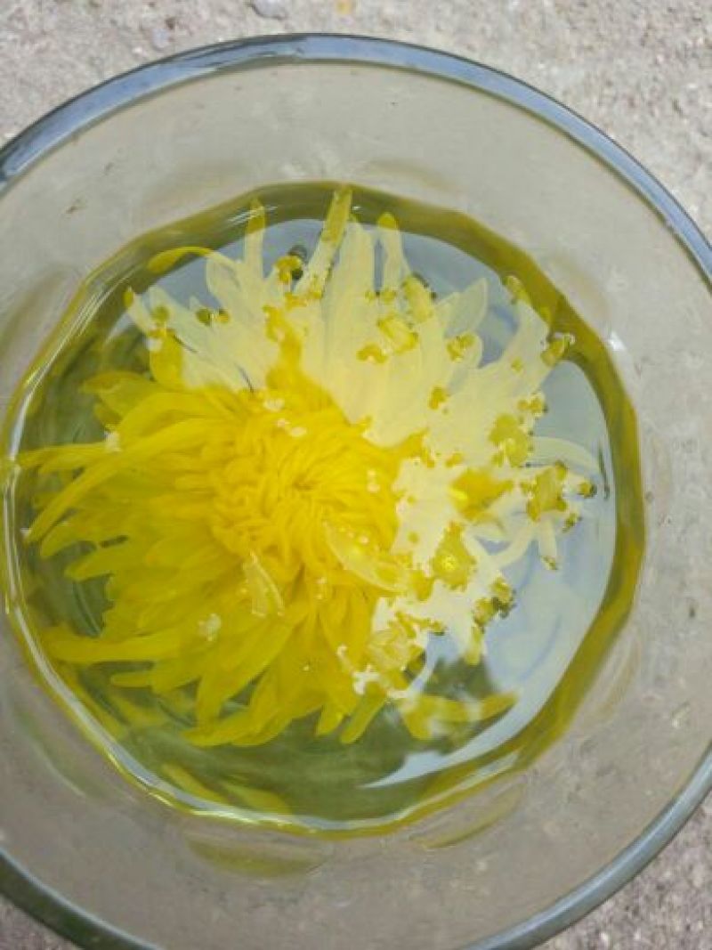 干菊花金丝皇菊