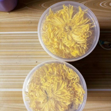 干菊花金丝皇菊