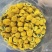 干菊花乒乓球菊