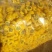 干菊花乒乓球菊