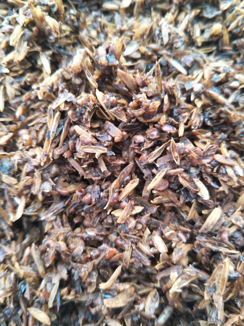 新鲜五粮酒糟，，，，，干酒糟粉，青储豆渣