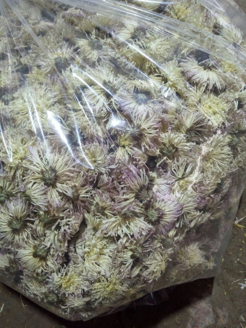干菊花香菊