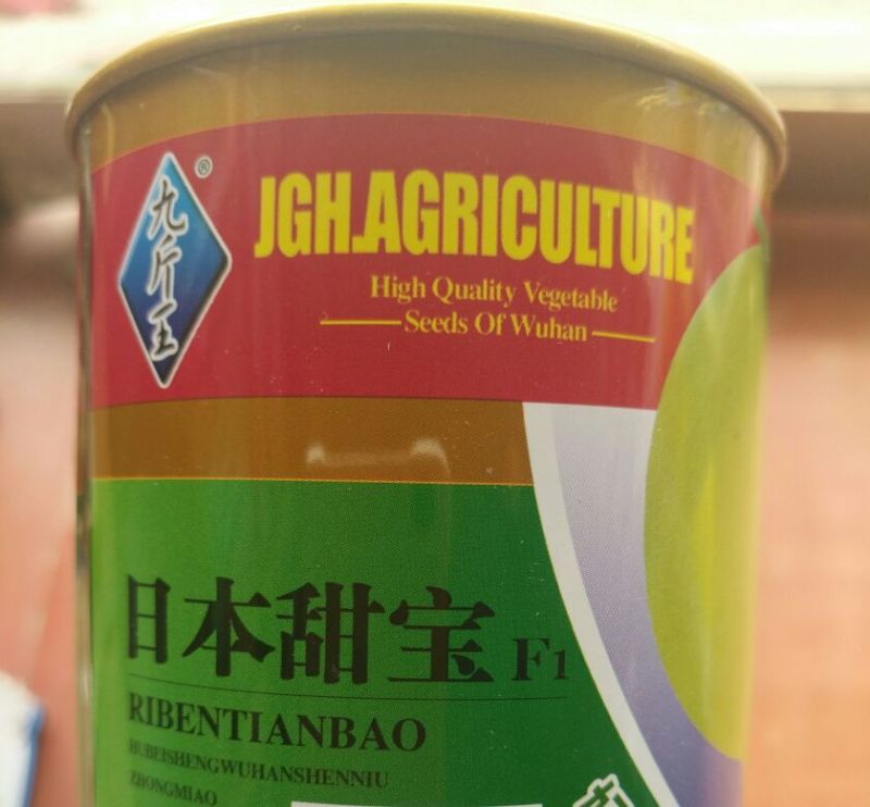 甜瓜种子