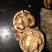 薄皮核桃25~30mm去皮干