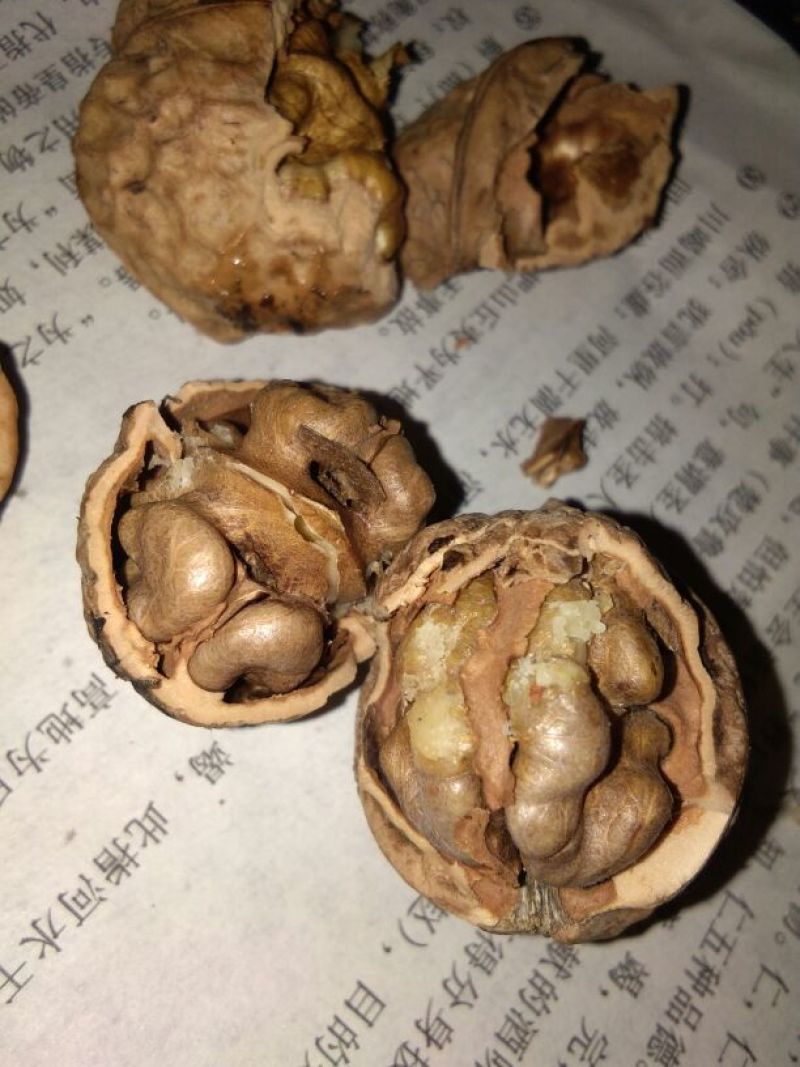 薄皮核桃25~30mm去皮干