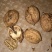 薄皮核桃25~30mm去皮干